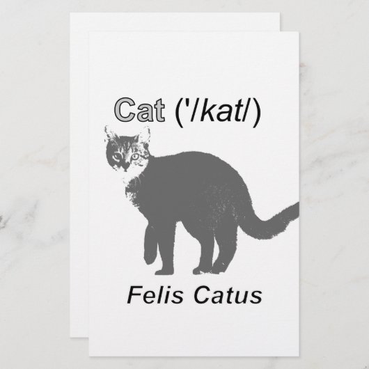Papeterie Chat Felis Catus (Devant / Derrière)