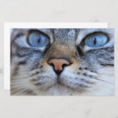 Papeterie Chat gris (Devant / Derrière)