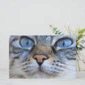 Papeterie Chat gris (Debout devant)