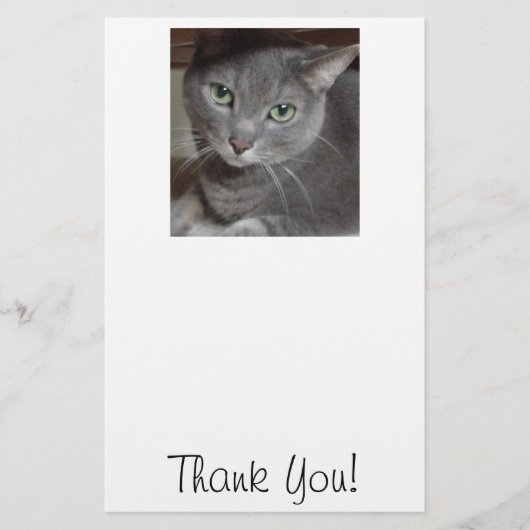 Papeterie Chat Merci/Gris (Devant)