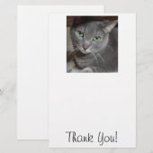 Papeterie Chat Merci/Gris (Devant / Derrière)