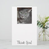 Papeterie Chat Merci/Gris (Debout devant)