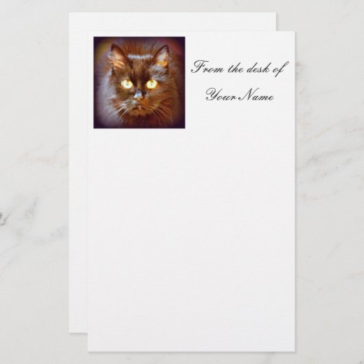 Papeterie chat noir (Devant / Derrière)