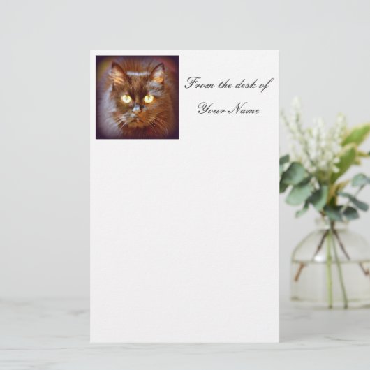 Papeterie chat noir (Debout devant)