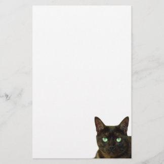 Papeterie Chat noir