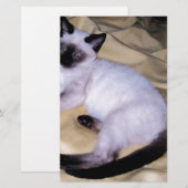 Papeterie Chat Siamese grès grès animal art animal animal an (Devant / Derrière)