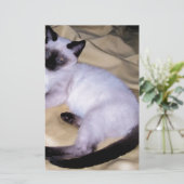 Papeterie Chat Siamese grès grès animal art animal animal an (Debout devant)