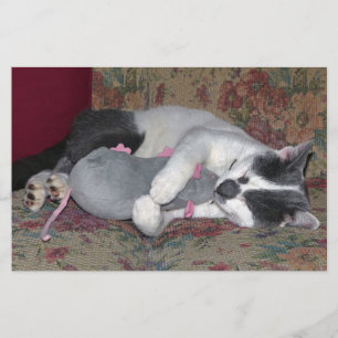 Papeterie Chaton couchant