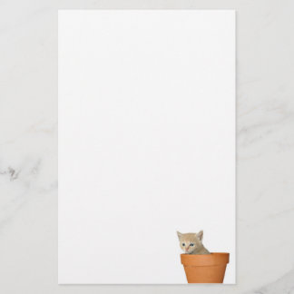 Papeterie Chaton de pot de fleurs