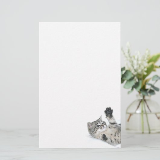 Papeterie Chaton espiègle (Debout devant)