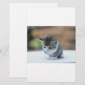 Papeterie Chaton mignon (Devant / Derrière)