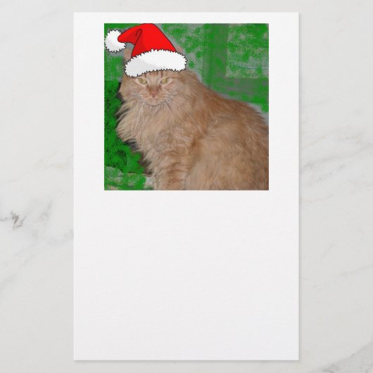Papeterie Chaton orange tabby Joyeux Noël (Devant)