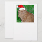 Papeterie Chaton orange tabby Joyeux Noël (Devant / Derrière)