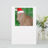 Papeterie Chaton orange tabby Joyeux Noël (Debout devant)