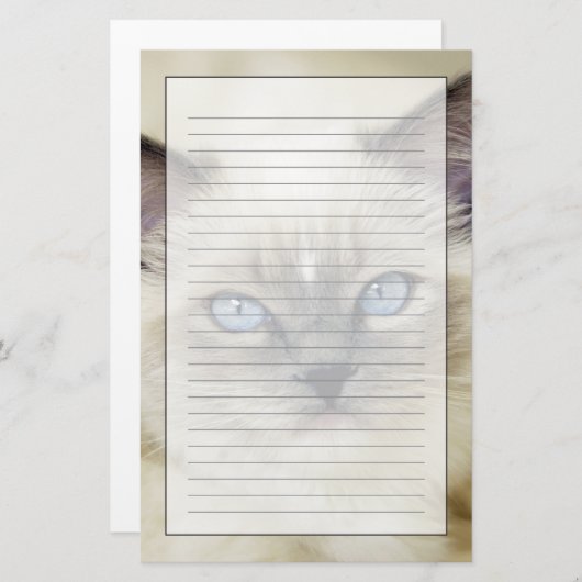 Papeterie Chaton Ragdoll (Devant / Derrière)