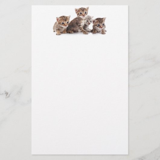 Papeterie Chatons et plus de chatons (Devant)