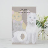 Papeterie Chatons Joueurs (Debout devant)