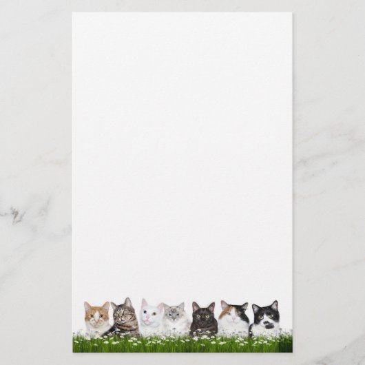 Papeterie Chats de Kitty dans les marguerites (Devant)