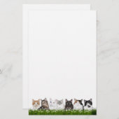 Papeterie Chats de Kitty dans les marguerites (Devant / Derrière)