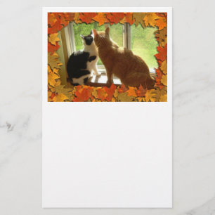 Papeterie Chats Tabby Orange d'automne