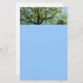 Papeterie Chêne de printemps Nature vivante (Devant / Derrière)