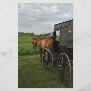 Papeterie Cheval Amish et Buggy au coucher du soleil