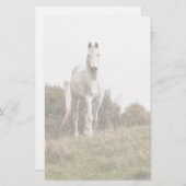 Papeterie Cheval blanc (Devant / Derrière)