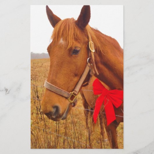 Papeterie Cheval Brown Red Bow (Devant)