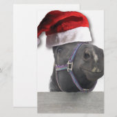 Papeterie Cheval de Noël (Devant / Derrière)