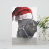 Papeterie Cheval de Noël (Debout devant)