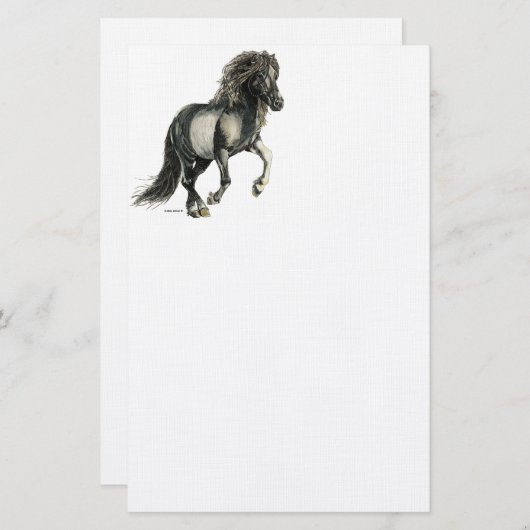 Papeterie Cheval islandais Brana (Devant / Derrière)