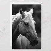 Papeterie Cheval Noir Blanc (Devant / Derrière)