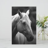 Papeterie Cheval Noir Blanc (Debout devant)