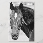 Papeterie Cheval noir blanc (Devant)