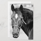 Papeterie Cheval noir blanc (Devant / Derrière)