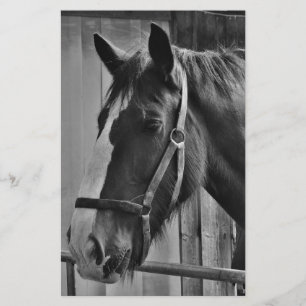 Papeterie Cheval noir blanc - Art de photographie animalière