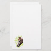 PAPETERIE CHEVAUX (Devant / Derrière)