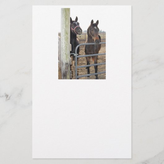 Papeterie Chevaux (Devant)
