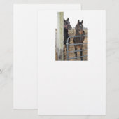 Papeterie Chevaux (Devant / Derrière)