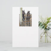 Papeterie Chevaux (Debout devant)