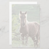 Papeterie Chevaux (Devant / Derrière)