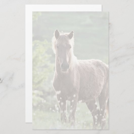 Papeterie Chevaux (Devant / Derrière)