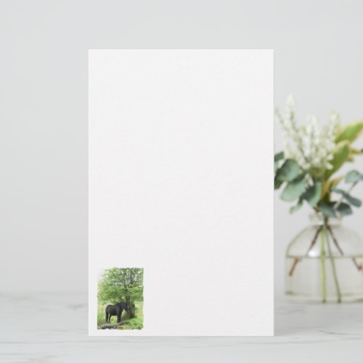 PAPETERIE CHEVAUX (Debout devant)