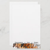 Papeterie Chevaux Dilute (Devant / Derrière)