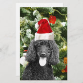 Papeterie Chien de caniche sapin de Noël Snowman Red Santa C (Devant / Derrière)