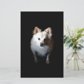 Papeterie Chien de Poméranie en noir (Debout devant)