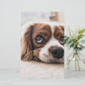 Papeterie Chien Espagnol Coqueur Triste (Debout devant)