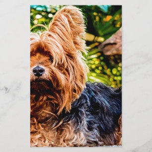 Papeterie Chien mignon animal de compagnie Yorkie Peace Love