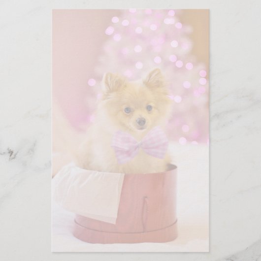 Papeterie Chien mignon avec cou rose Photographie de Noël (Devant)