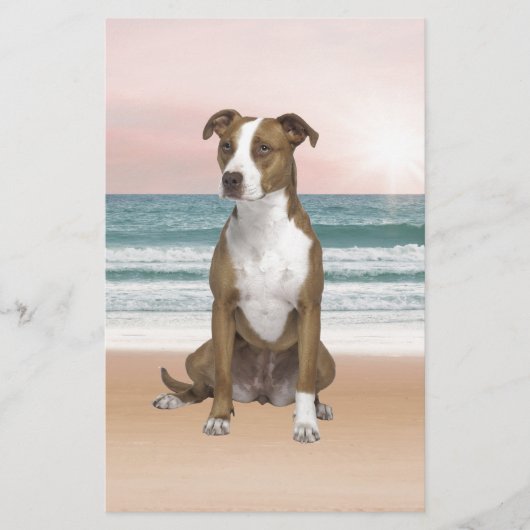 Papeterie Chien Pitbull mignon assis sur la plage avec couch (Devant)